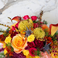 Load image into Gallery viewer, Arona