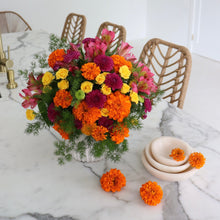 Load image into Gallery viewer, October Marigold