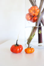Load image into Gallery viewer, Miniature Pumpkin