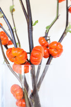 Load image into Gallery viewer, Miniature Pumpkin