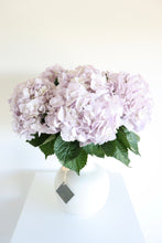 Load image into Gallery viewer, Hydrangea