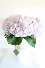 Load image into Gallery viewer, Hydrangea