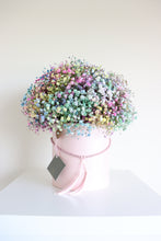 Load image into Gallery viewer, Penny