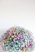 Load image into Gallery viewer, Penny