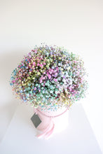 Load image into Gallery viewer, Penny