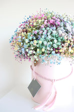 Load image into Gallery viewer, Penny