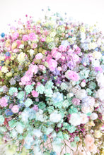 Load image into Gallery viewer, Penny