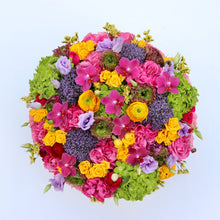 Load image into Gallery viewer, Ziva