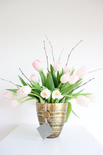 Load image into Gallery viewer, Clara