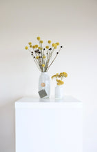 Load image into Gallery viewer, Freya Dry Flower Set