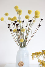 Load image into Gallery viewer, Freya Dry Flower Set