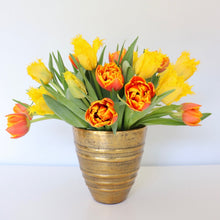 Load image into Gallery viewer, Clara