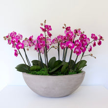 Load image into Gallery viewer, The Orchid