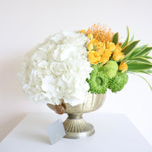 Load image into Gallery viewer, Sage