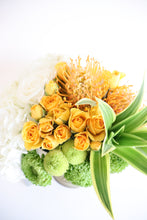 Load image into Gallery viewer, Sage