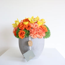 Load image into Gallery viewer, Cora