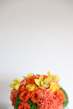 Load image into Gallery viewer, Cora