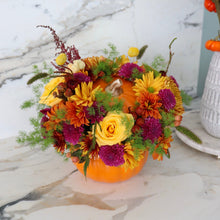 Load image into Gallery viewer, Pumpkin