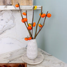 Load image into Gallery viewer, Miniature Pumpkin