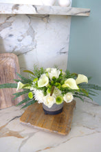 Load image into Gallery viewer, Festive