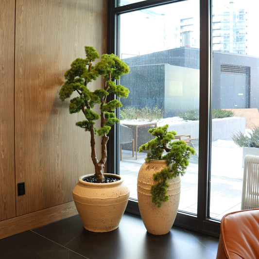 Bonsai Duo Plant (Faux)