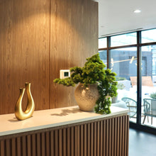 Load image into Gallery viewer, Tabletop Bonsai Plant (Faux)
