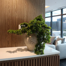Load image into Gallery viewer, Tabletop Bonsai Plant (Faux)

