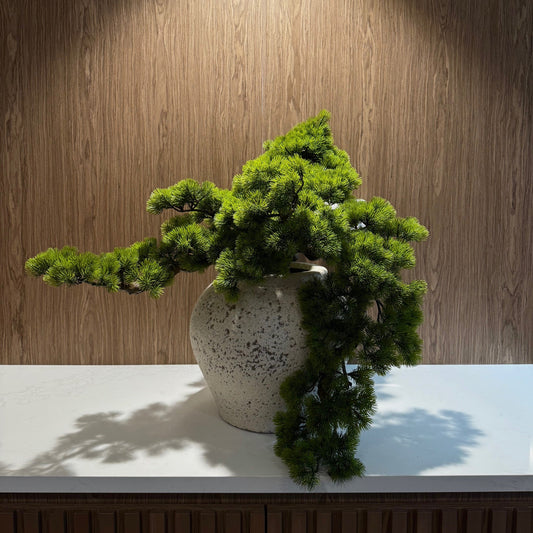 Tabletop Bonsai Plant (Faux)