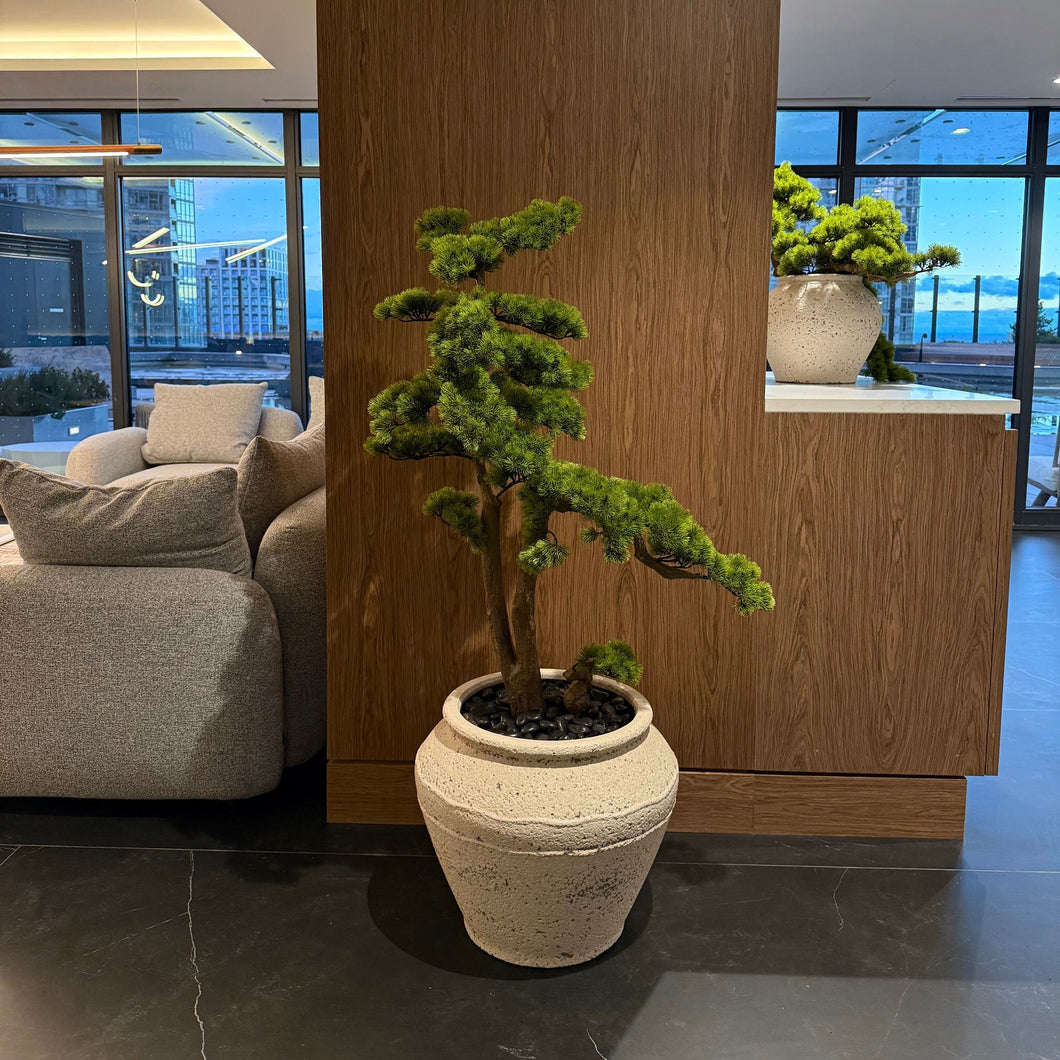 Floor Bonsai Plant (Faux)