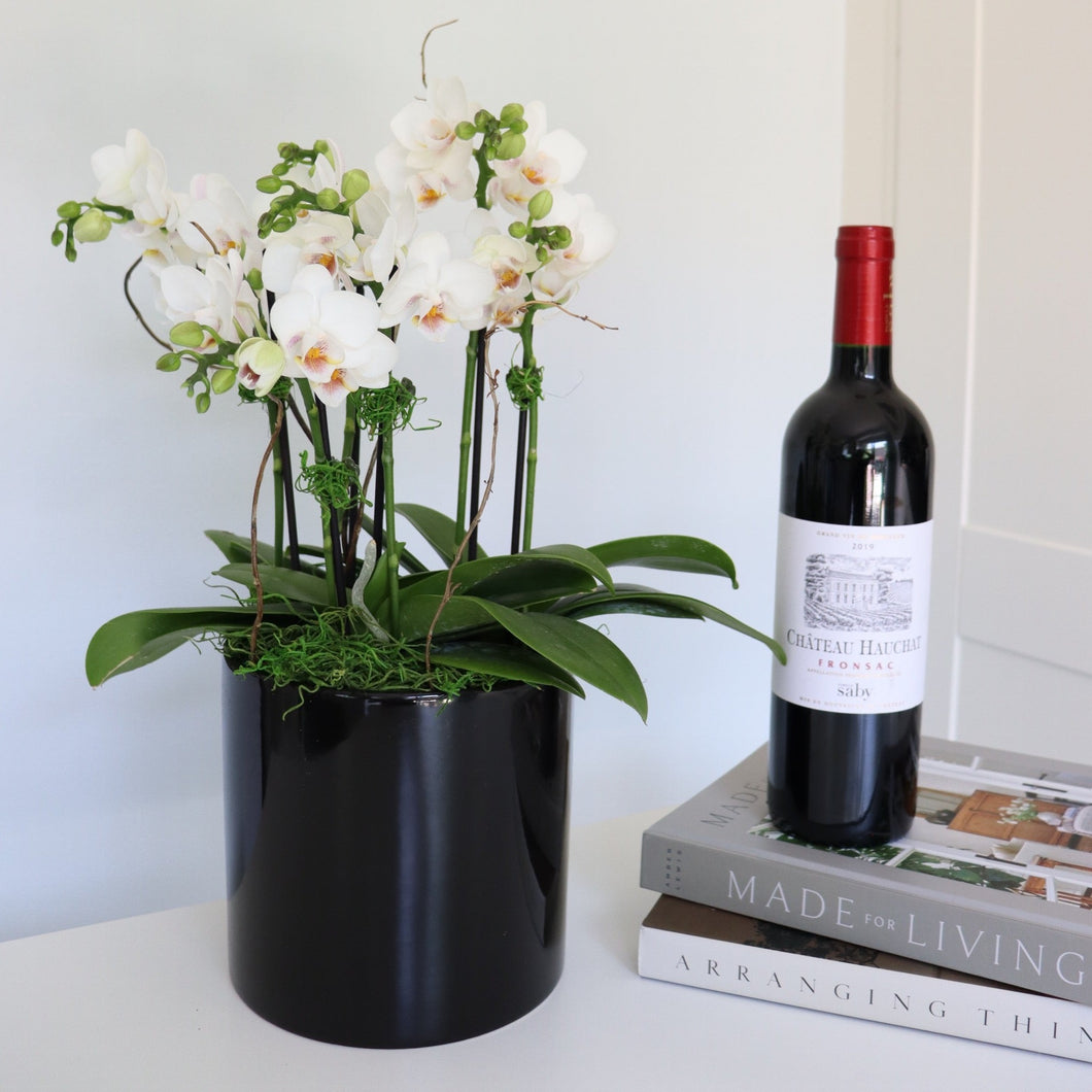 Orchid Plant & Vintage Wine