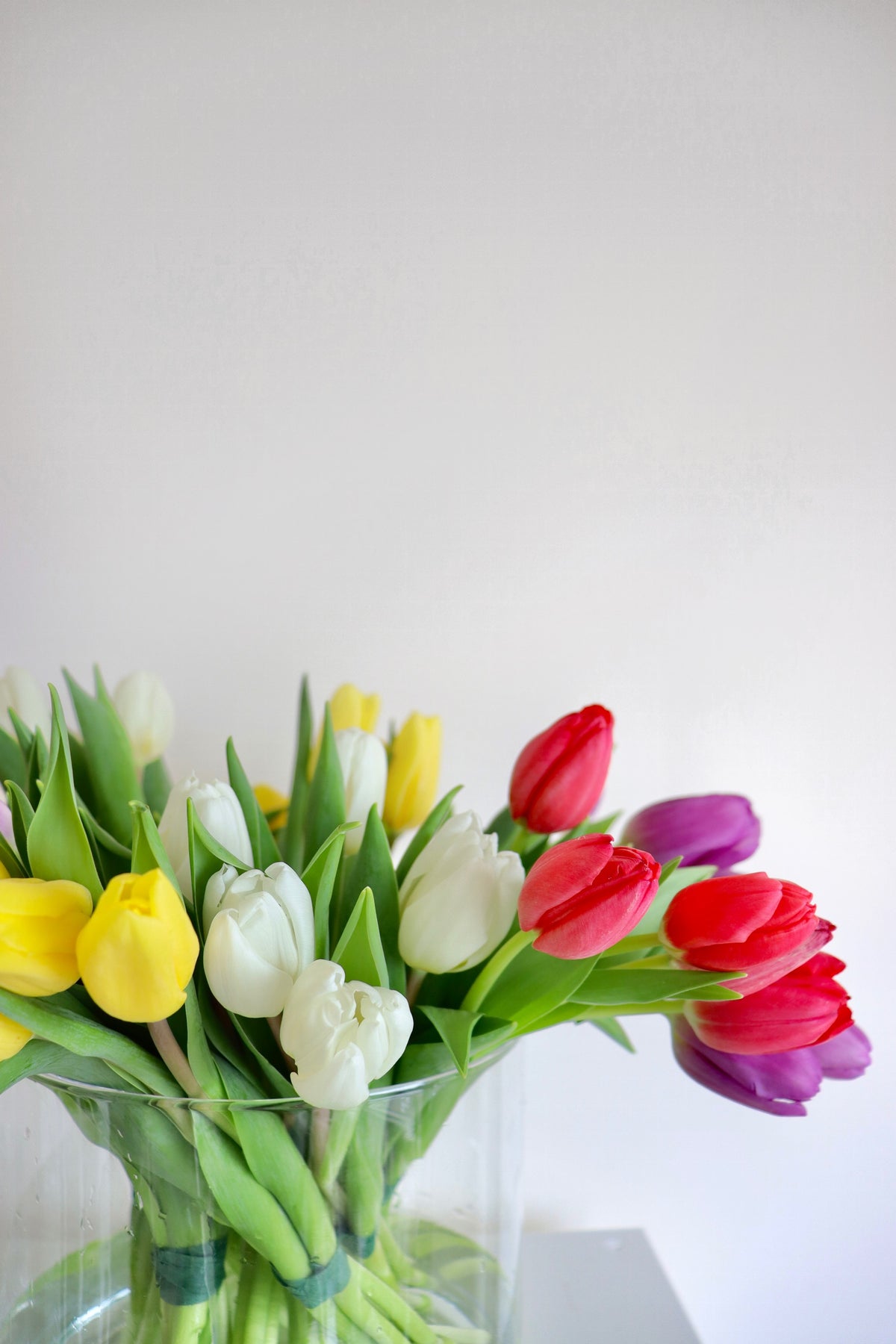 Tulips