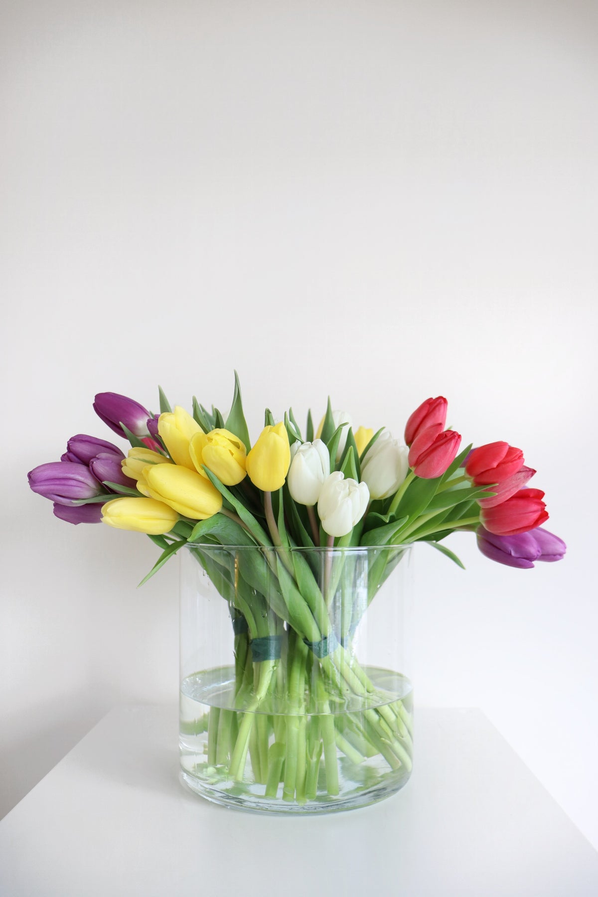 Tulips