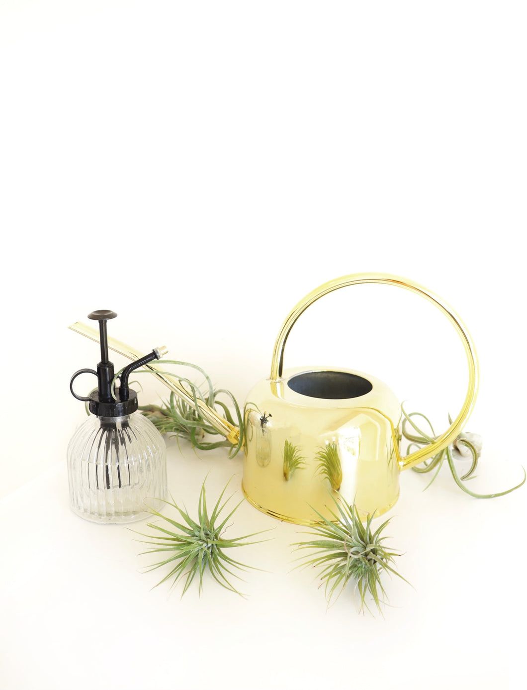 Watering Can + Plant Mister Gift Set